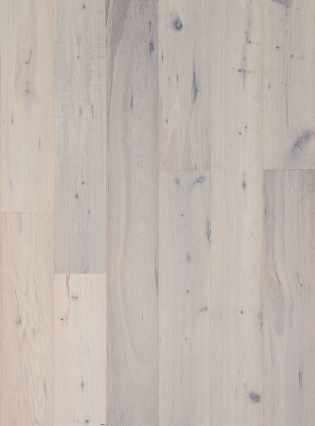 TS0070 - Quercus Oak White